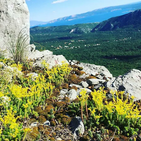 Matic 公寓 茨里克韦尼察