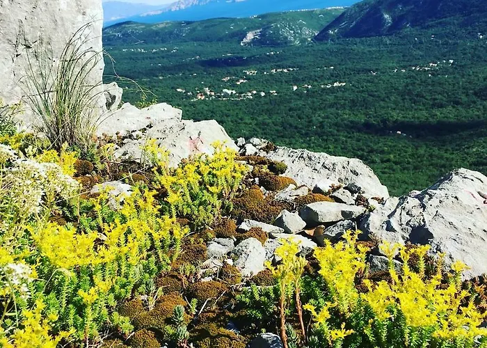 Matic 아파트 크리크베니카